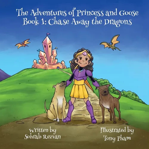 The Adventures of Princess and Goose Book 1: Chase Away the Dragons - Paperback