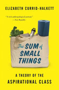 The Sum of Small Things: A Theory of the Aspirational Class - Paperback