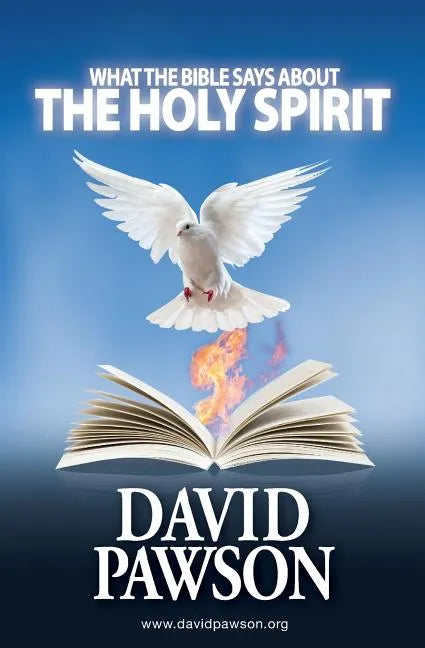 What the Bible Says about the Holy Spirit - Paperback