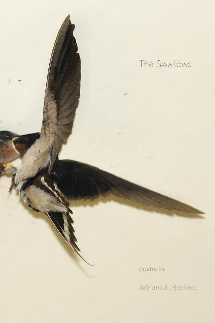 The Swallows - Paperback