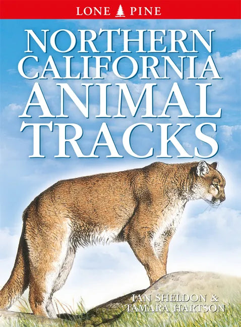 Northern California Animal Tracks - Paperback