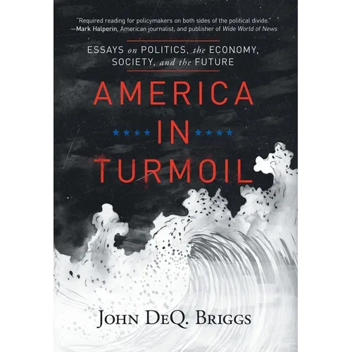 America in Turmoil: Essays on Politics, the Economy, Society, and the Future - Hardcover