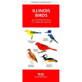 Indiana Birds: An Introduction to Familiar Species