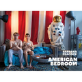 American Bedroom: Reflections on the Nature of Life - Hardcover