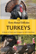 Turkeys - Paperback
