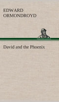 David and the Phoenix - Hardcover