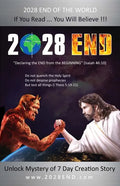 2028 End: Declaring the End from the Beginning - Paperback
