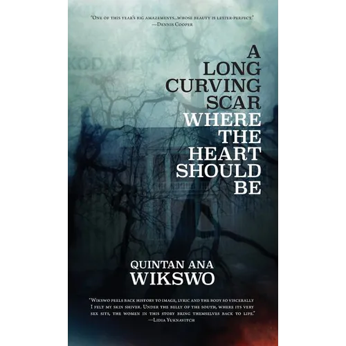 A Long Curving Scar Where The Heart Should Be - Hardcover