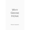 Why Geese Honk: The Power of Encouragement - Paperback