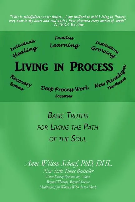 Living in Process: Basic Truths for Living the Path of the Soul - Paperback