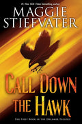 Call Down the Hawk (the Dreamer Trilogy, Book 1): Volume 1 - Paperback