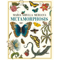 Maria Sibylla Merian's Metamorphosis: One Woman's Discovery of the Transformation of Butterflies and Insects - Paperback