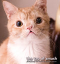 The Tao of Smush - Hardcover