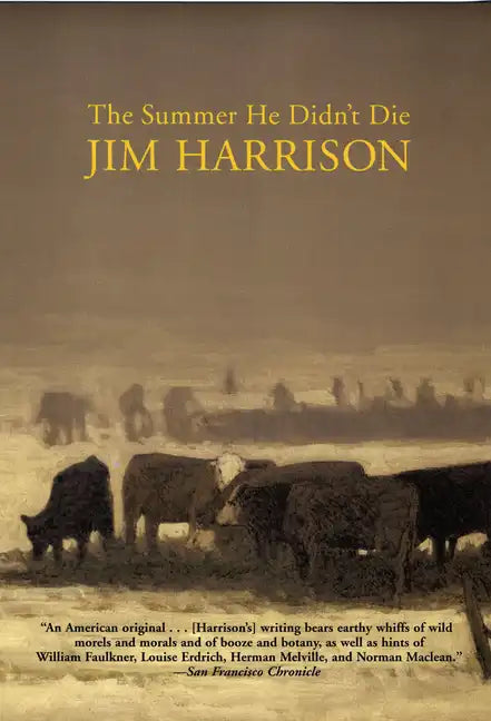 The Summer He Didn't Die - Paperback