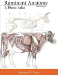 Ruminant Anatomy: A Photo Atlas - Paperback