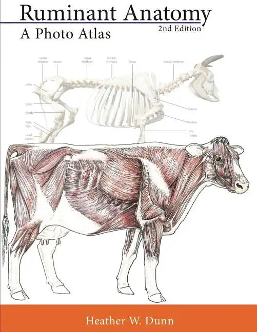Ruminant Anatomy: A Photo Atlas - Paperback