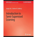 Introduction to Semi-Supervised Learning - Paperback