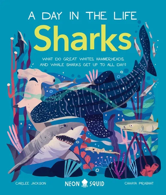 Sharks (a Day in the Life): What Do Great Whites, Hammerheads, and Whale Sharks Get Up to All Day? - Hardcover