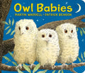 Owl Babies Oversized Board Book - Board Book