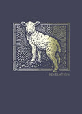 Net Abide Bible Journal - Revelation, Paperback, Comfort Print: Holy Bible - Paperback