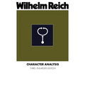 Character Analysis - Paperback
