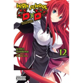 High School DXD, Vol. 12 (Light Novel): Volume 12 - Paperback