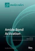 Amide Bond Activation - Paperback