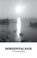 Horizontal Rain - Paperback