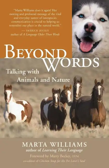 Beyond Words: Talking with Animals and Nature - Paperback