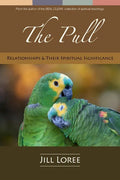 The Pull: Relationships & their Spiritual Significance - Paperback