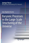 Baryonic Processes in the Large-Scale Structuring of the Universe - Paperback