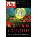 Angels and Heavenly Visitations - Paperback