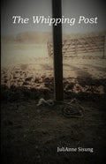 The Whipping Post: a story of oppression, enlightenment and redemption - Paperback
