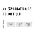 An Exploration In Color Field - Paperback