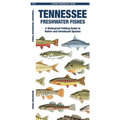 Tennessee Freshwater Fishes - Paperback