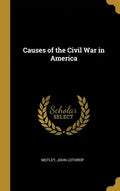 Causes of the Civil War in America - Hardcover