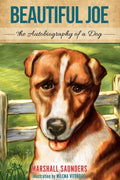 Beautiful Joe - Paperback