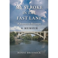 My Stroke in the Fast Lane: A Journey to Recovery - Paperback