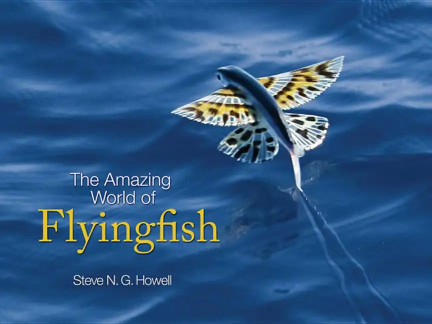 The Amazing World of Flyingfish - Hardcover