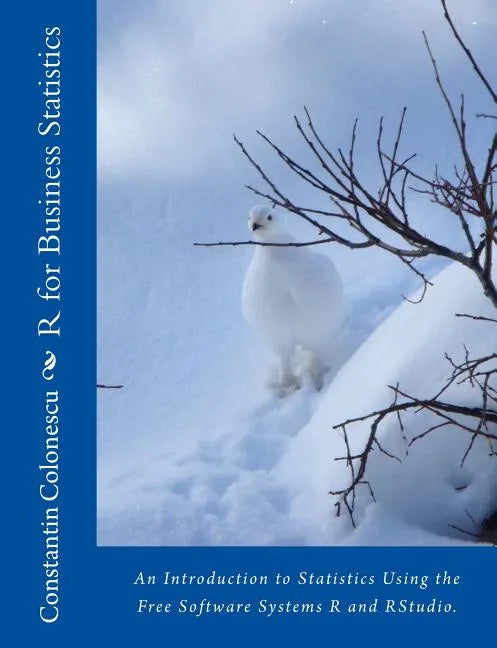 R Guide for Business Statistics - Paperback