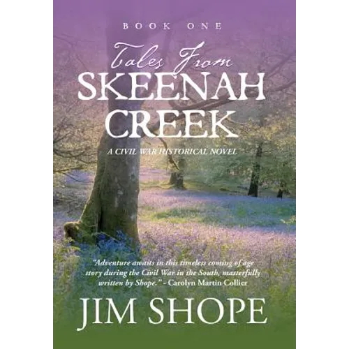 Tales From Skeenah Creek: A Civil War Historical Fiction Novel - Hardcover