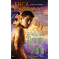 Dragon Bound - Paperback