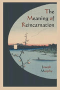 The Meaning of Reincarnation - Paperback