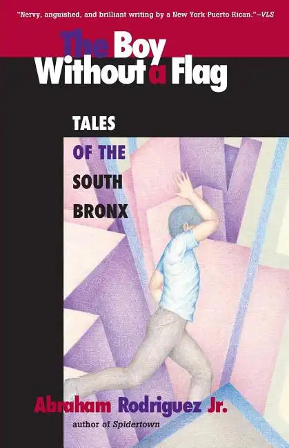 Boy Without a Flag - Paperback