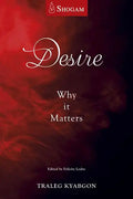 Desire: Why It Matters - Paperback