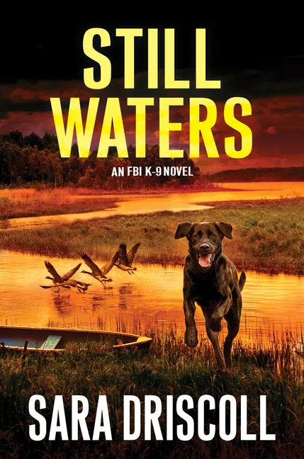Still Waters: A Riveting Novel of Suspense - Hardcover