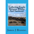 Collecting Fossils Between Whitby And Sandsend.: A Beginner's Guide. - Paperback