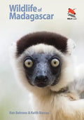 Wildlife of Madagascar - Paperback