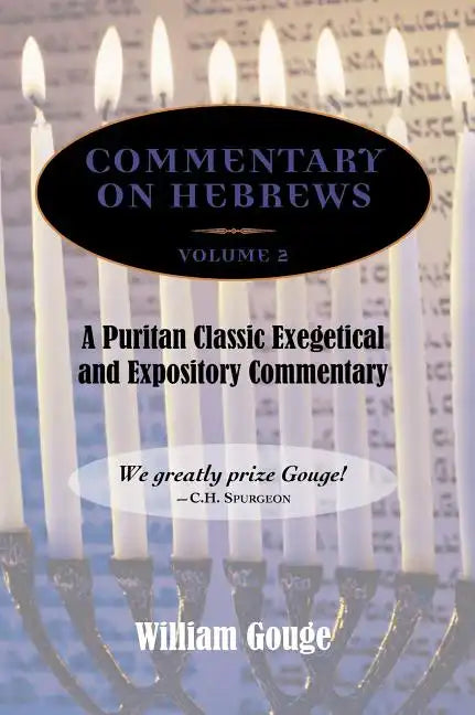 Commentary on Hebrews: Exegetical and Expository - Vol. 2 (8-13) - Hardcover