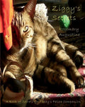 Ziggy's Secrets: An Internet Password Keeper - Paperback